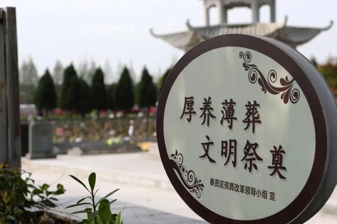 米乐M6：金汇镇2024年政府实事项目出炉快来看看有没有你关心的！(图3)