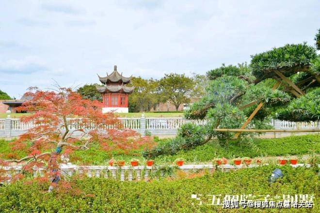 五个院子的别墅2024网站-楼盘详情-上海房天下(图17)
