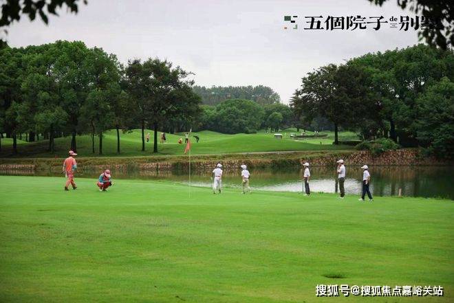 五个院子的别墅2024网站-楼盘详情-上海房天下(图24)