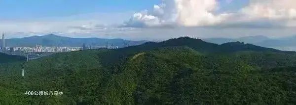 米乐M6：深圳南山华联城市中心2024网站售楼处电话最新楼盘资讯(图7)