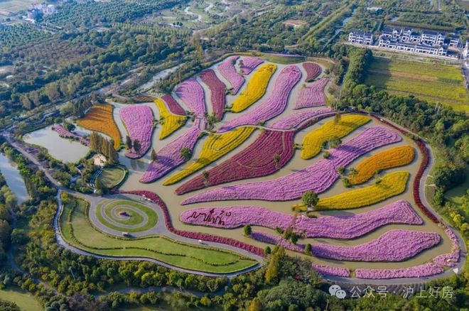 新未来樾湖2024网站-上海金山(新未来樾湖)售楼处-最新房价(图10)