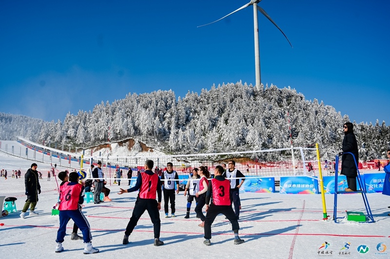 乐趣满满！四川省第七届全民健身冰雪季等你来玩(图2)