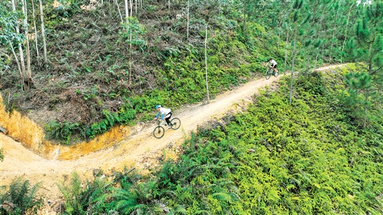 米乐M6：2025-02-19(图2)