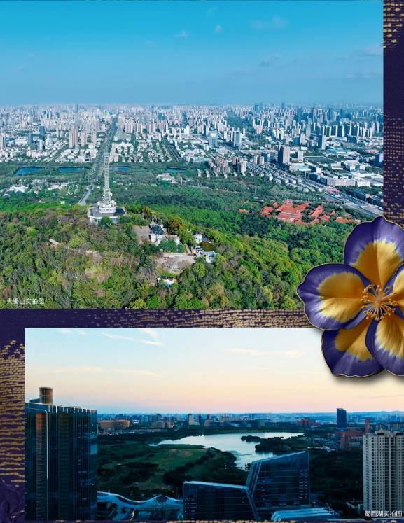 合肥绿城锦海棠楼盘怎么样-学区(图6)