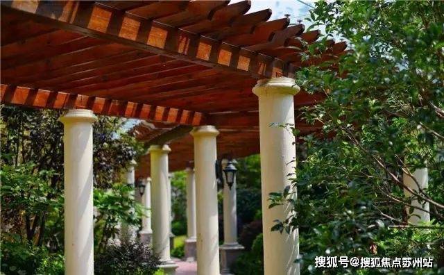 米乐M6网页版：御岛财富(售楼处)首页网站-御岛财富售楼处欢迎您-楼盘详情-户型配套-最新价格-最新资讯-位置(图1)