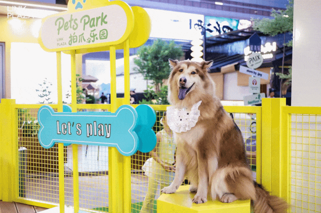 一千个日夜！广州天河领展广场滚动式改造收官(图11)