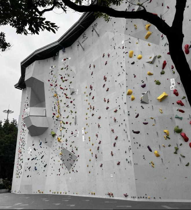 狂飙90%！从始祖鸟平替逆袭成中产新宠轮椅老板一年卖到40亿(图14)