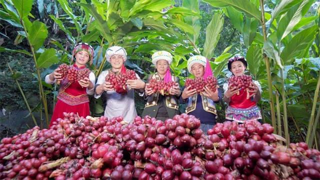 东方大峡谷的生态发展奇迹惊艳上海盛会(图9)