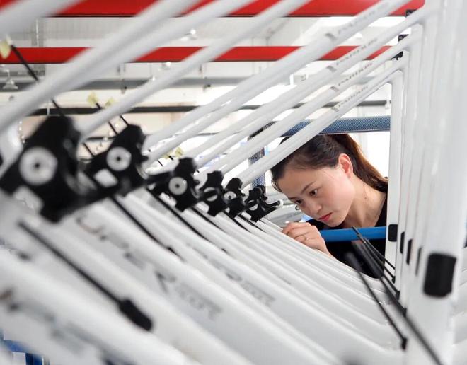 体育用品「翻红」碳纤维(图10)