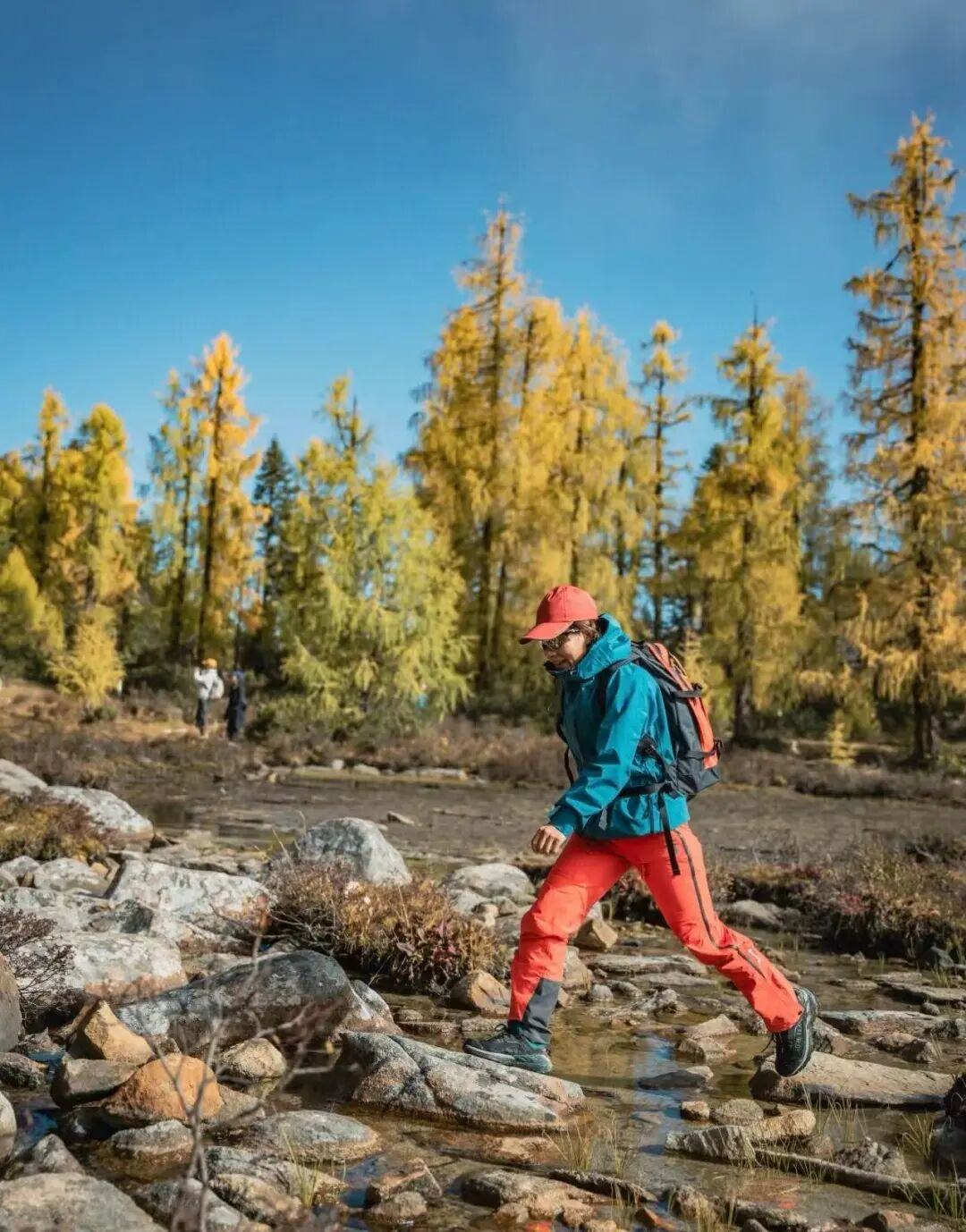 米乐M6网页版：又一高端品牌进入中国李宁出手硬刚始祖鸟(图2)