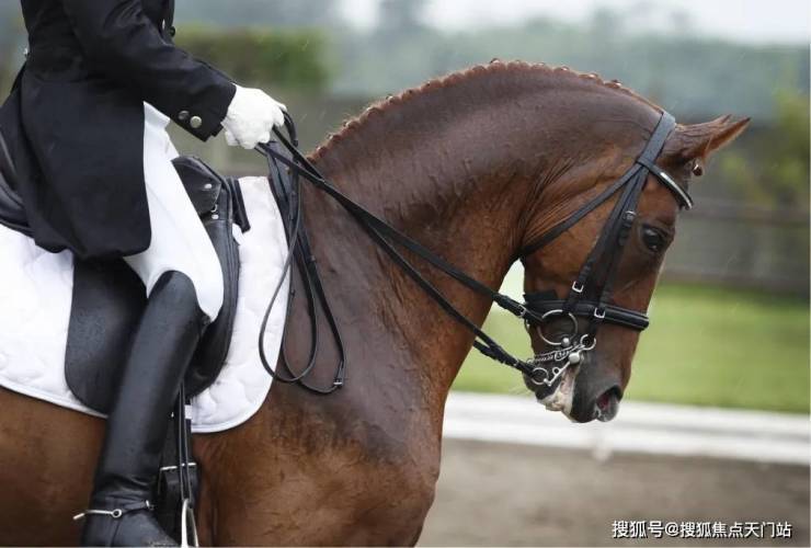 米乐M6平台：上海象屿天誉蘭香营销中心│「天誉蘭香」2026售楼处-楼盘价格户型地址前台电话环境配套交房时间售楼处电话(图29)