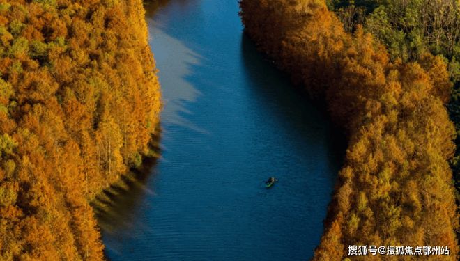 ⚡楼市热搜恒文御澜湾售楼处发布：临港恒文御澜湾重磅来袭！(图11)