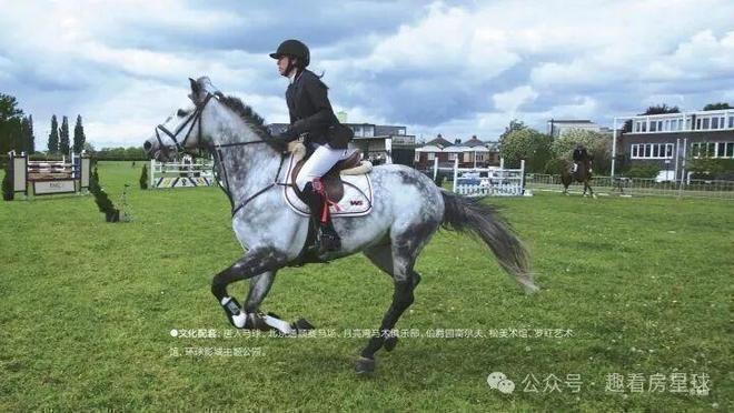 新房入市！格拉斯小镇售楼处发布：格拉斯小镇顶级奢宅(图8)