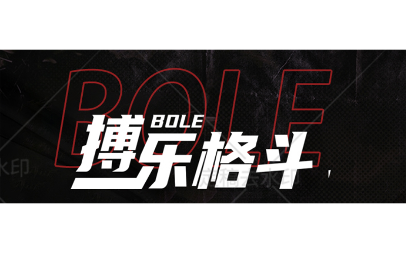 2026年第二季度武汉武术散打中心实力评估与优选指南(图1)