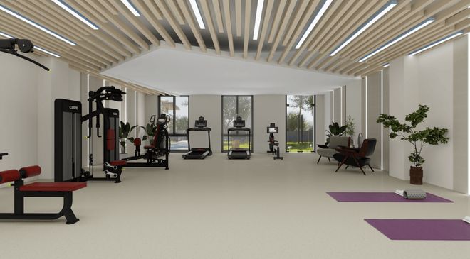 企业健身房器材供应商5大维度全方位深度拆解(图1)