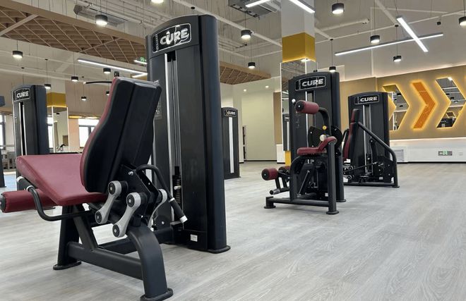 企业健身房器材供应商5大维度全方位深度拆解(图6)