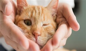 米乐M6平台：健身俱乐部行业市场容量健身俱乐部行业发展前瞻2023(图7)